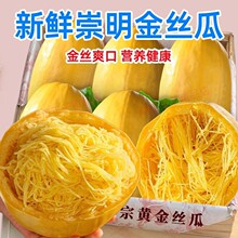 崇明岛新鲜角瓜搅瓜绞瓜金丝瓜鱼翅瓜黄金瓜金瓜茭瓜凉拌瓜绞丝瓜