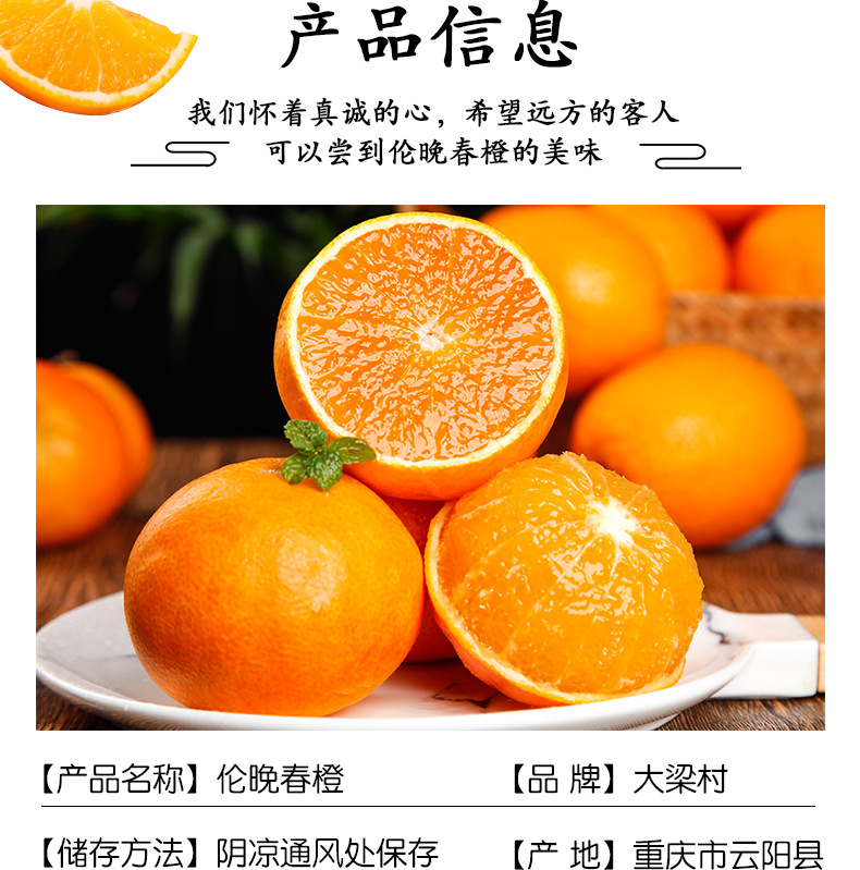 11240ziguiqicheng_05