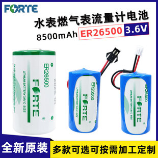 FORTE����ER26500����ˮ��ȼ�������ӋPLC����2̖C��3.6V�늳�