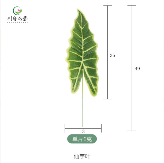 微信截图_20220320185326_副本