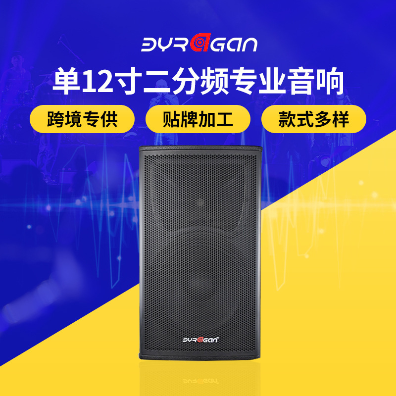 单12寸分频专业音箱舞台功放演出套装会议室音响培训大功率|undefined