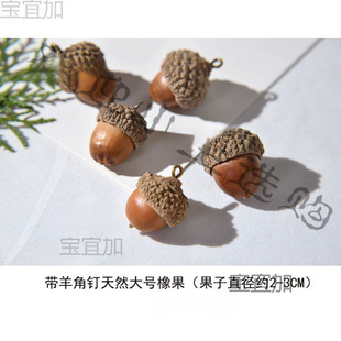 ����������Ǹɹ�����������������Ȼһ�����l��������