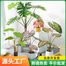 Rdֲɫ^Gɫ^ϲˮ̈Gɫˮ