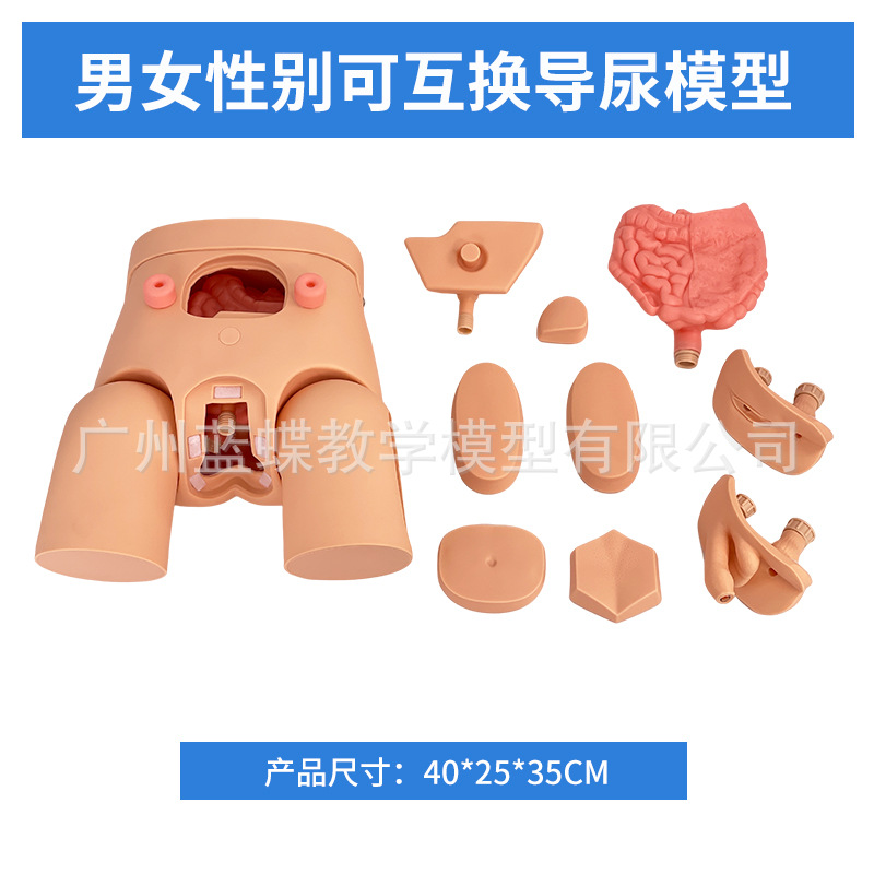 ����������ֳ����ģ�ͼ��׵���ģ����Ů�Ե���ѵ����ʾ��ϰģ��