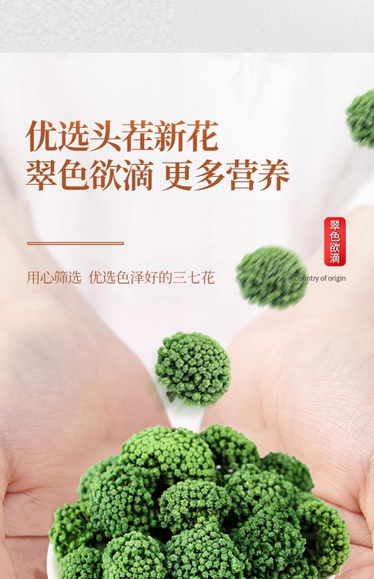 San Qi Flower Tea 500g Panax Notoginseng Buds Dried Tian Qi Hua Herbal Infusion key features