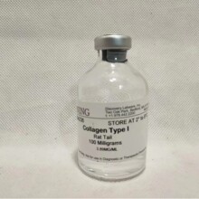 ����Corning  354236  I���zԭ���ף���β100mg