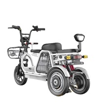 电动三轮车小型电瓶车电动车家用接送孩子老年人电三轮代步车