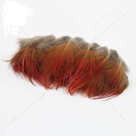 锦鸡红箭羽毛 戏曲花旦头饰锦鸡红箭羽毛批发点羽吉祥色点翠羽毛