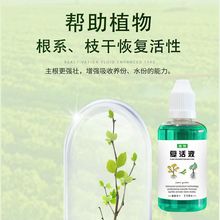 植物复活液通用型营养液浓缩型家用栀子花兰花型肥料恢复活力快长