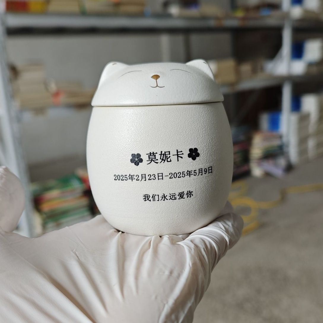 고양이/인쇄-소형 + 6inch 사진 무료 제공