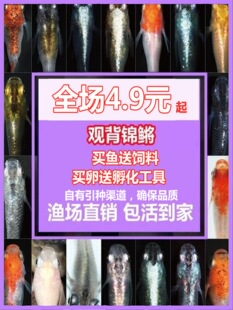 �^�����F�\�F���R�~�^�p�~��ˮ�~���~�F�~С���\�����������B���w