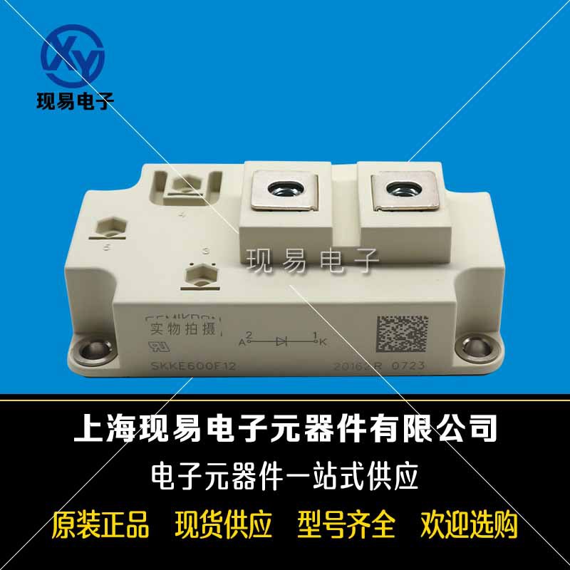 SKKE1200/18H4 SKKE1200/22H4全新原装二极管现货