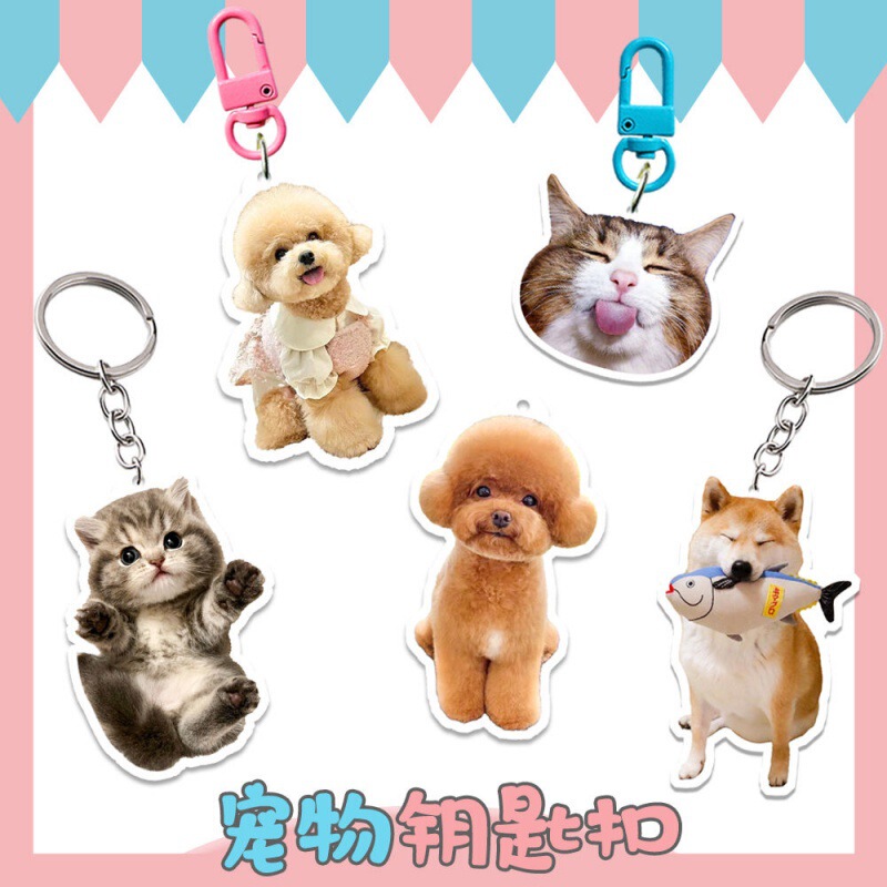 Pet DIY Keychain Acrylic Pendant Double-sided Photo ins Couple Cute Cat Dog Hanging Ornaments