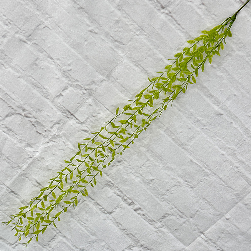 New willow, green.