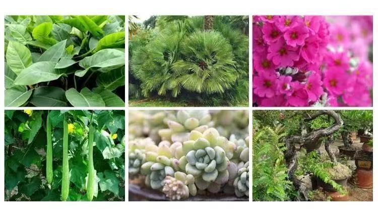 ca0e518f-8f20-490e-9a29-d3d304db65ea.jpe