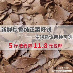 ��������r����ե�Ϳ����N����@�߲˷N���ЙC����~��C