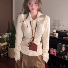 Polo翻领麻花软糯毛衣女秋冬新款修身显瘦设计感针织衫上衣打底衫