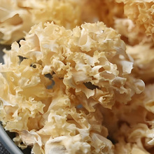 绣球菌干货特产特级菌绣球菇酒店火锅煲汤食材新鲜秀球菌