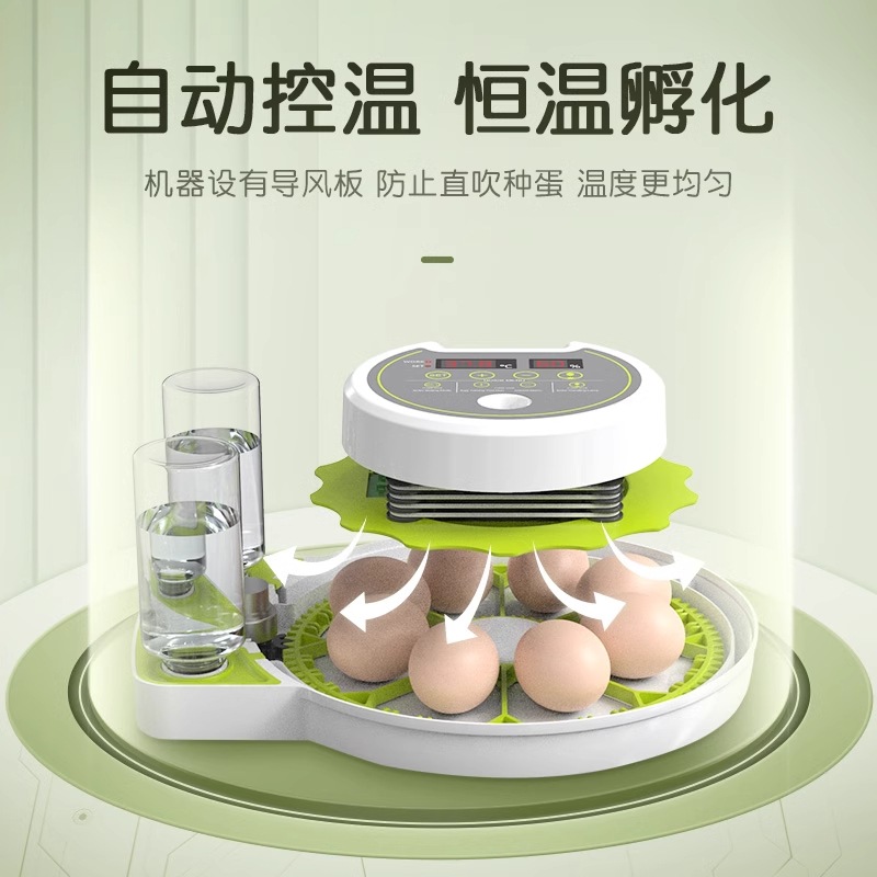 Manufacturer Direct Sales Small Home Mini Incubator Smart Fully Automatic Bird Egg Lemon Chicken Egg Incubator Box