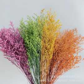 永生花吸色情人草干花真花花束厂家批发手工diy花束搭配家居装饰
