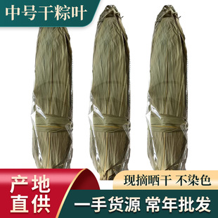 Another Spring Medium Dried Zongye Freshly Picked Indocalamus Leaves Commercial Japanese Plate Decorative Zongye Leaves Soaking in Water Not Yellowing