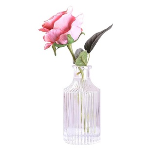 European-style Transparent Glass Vase Modern Simple Vase Creative Home Desktop Hydroponic Decorative Glass Bottle Ornaments