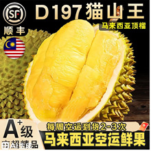 �R������D197؈ɽ����ɏ�r�����\���r���������M��ˮ�����l