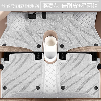 Floor Mats, Modelə uyğun ayaqaltı - oatmeal-gray-double-layer-version