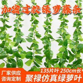 仿真藤条绿萝绿植过胶加密绿萝叶塑料管道吊顶装饰仿真植物绿叶