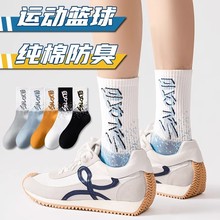 �LͲ�m�������ﶬ��ɫ���m��ʿ��Ͳ����ins�\�ӻ@���m�������^��