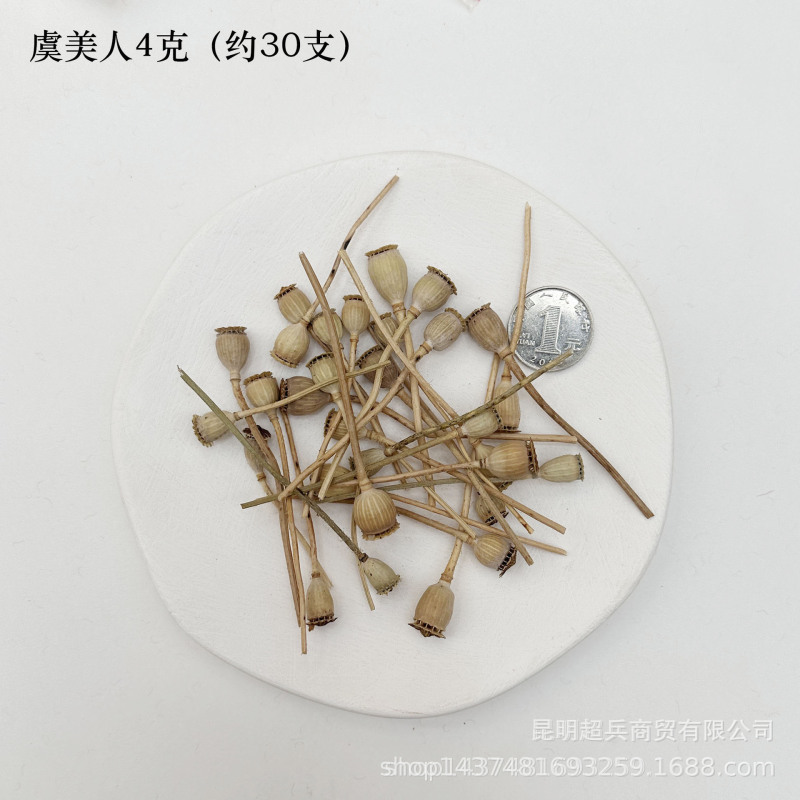 【各种果实类干花】圣诞果实类装饰品干花干果香薰蜡烛DIY橡果精|undefined