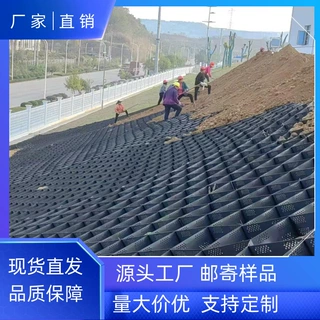 定制塑料土工格室聚丙烯蜂巢格室规格全护坡固土植草土工格室
