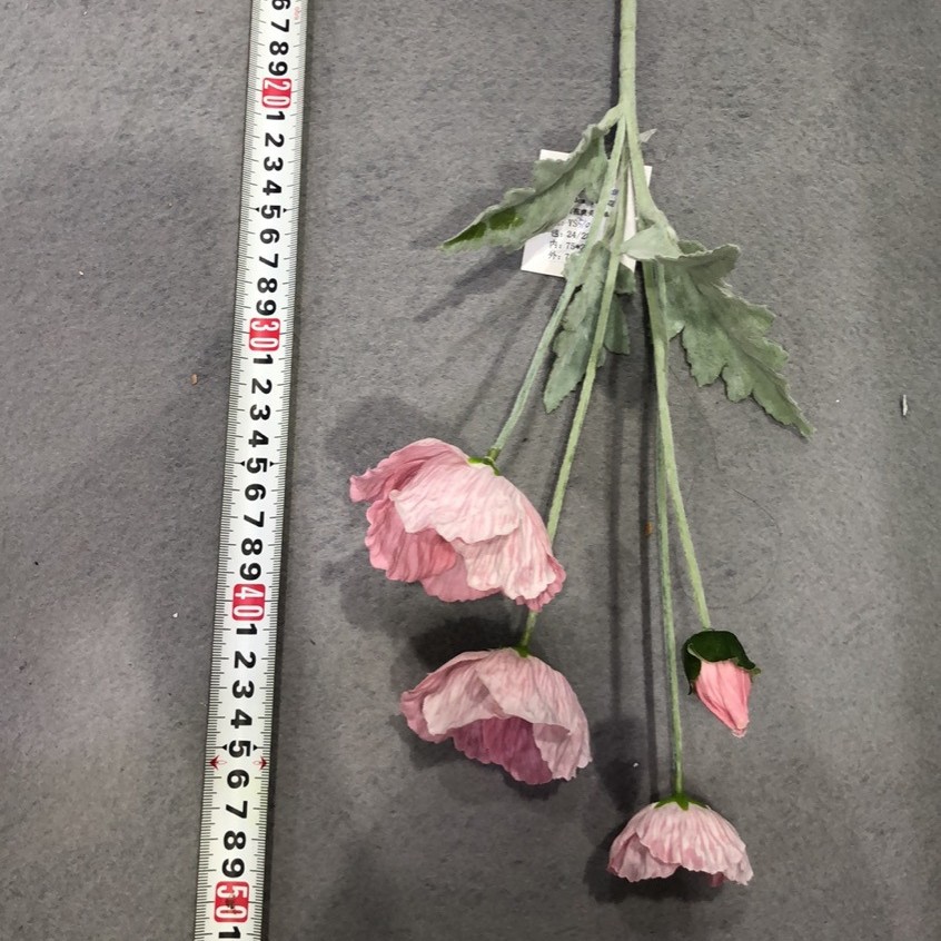 분홍색 보라색