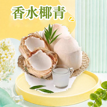 ̩����ˮҬ�� ���l2/4������ش��ȫ���_Ҭ������Ҭ�����rˮ��