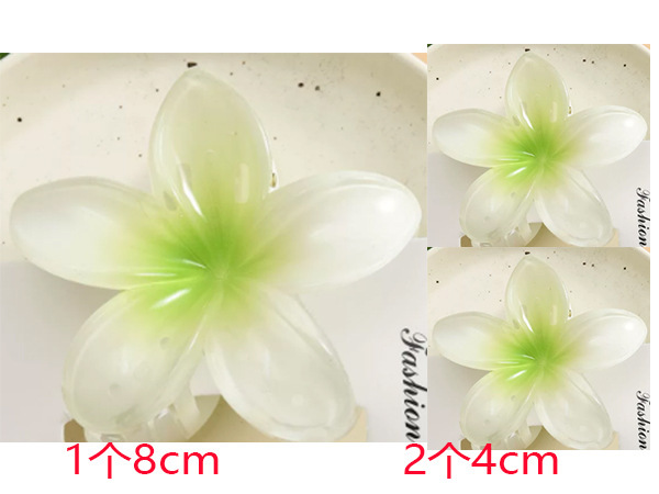 跨境新款鸡蛋花发夹网红花朵抓夹套装发卡女高级感鲨鱼夹发饰批发|undefined