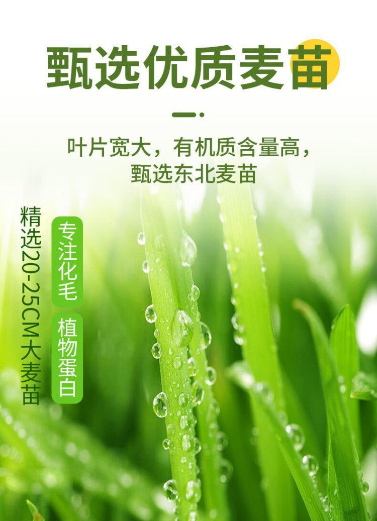 3224659b-1adb-4a64-b61f-d3ffd3ddb39e.jpe