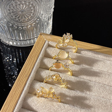 ºsLins؈ʯָŮpݏ͹ŰٴǶ԰ٴˇʳָ