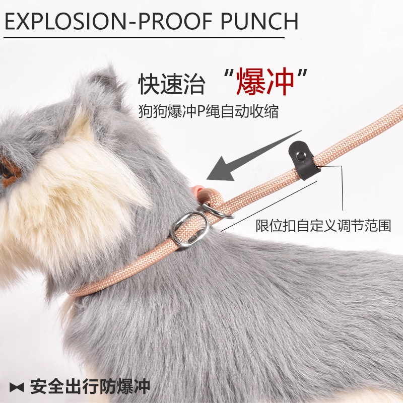 Explosion-Proof Anti-Winding Dog Leash Dog Traction P-Chain Dog Leash P-Rope Dog Training Special Pet Supplies for Small and Medium-Sized Dogs