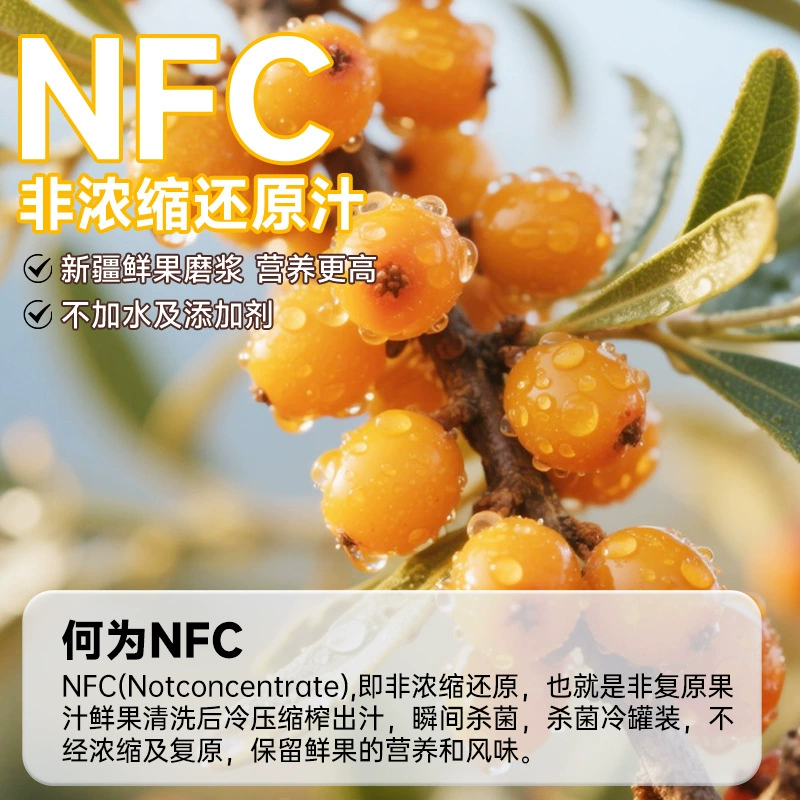 Органическая пюре из облепихи Xinjiang облепиховый сок NFC свежие плоды свежевыжатый облепиховый сок органическая облепиховая напиток витамин C сокровищница