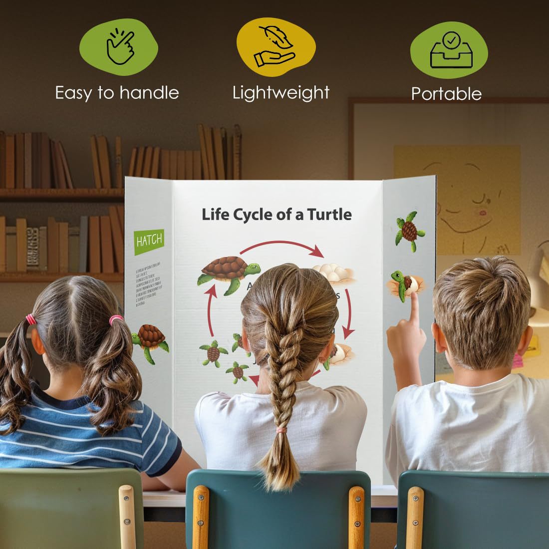 61uETKp-veL._SL1100_