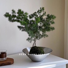 �H�۵ľGֲ ���R�����Կ͏d�҃���������ȩ�����՚�ֲ���^�~�辰