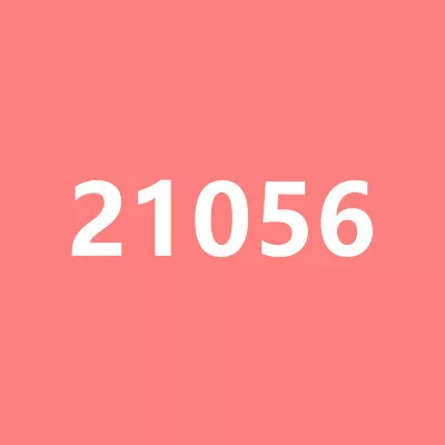21056