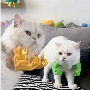 Cat Pet Peripherals-Hulk Muscle Arm-Prank Middle Finger