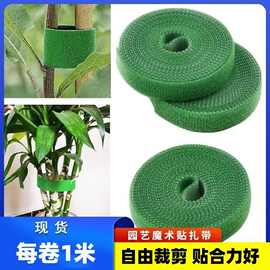 魔术贴绿植扎带捆绑绿色粘扣带不伤植物支撑固定热植绑带植物布贴