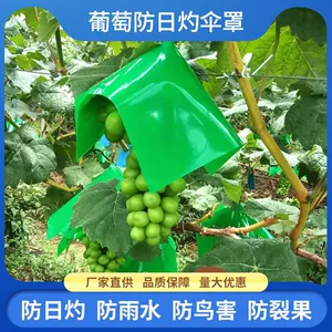 [葡萄伞罩遮阳罩专用袋阳光玫瑰伞帽防晒防日灼防雨水防裂果伞袋]