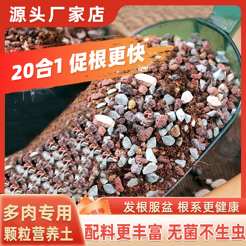 Đất hạt mọng nước 0.5kg (30% hạt)
