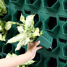 10cm�ڏ��䳲ֲ����费ֱ�G���������w�G���ڒ�Nֲ�ж��Ŀ�