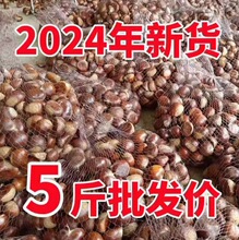 2024���������r�Fժ���|����5�����������_����w�����������F