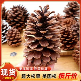 圣诞装饰品;木质工艺品;植物工艺品