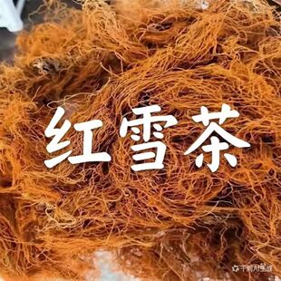 �tѩ�� �S��ֱ�l���l ���l